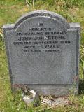 image of grave number 503033